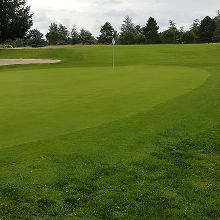 T2 Face Au Golf