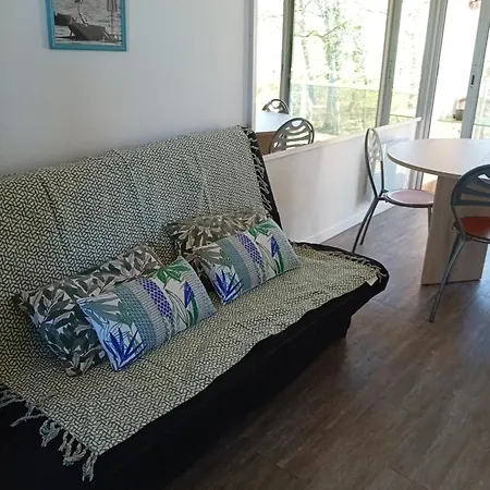 Appartement T2 Face Au Golf Buzet-sur-Tarn